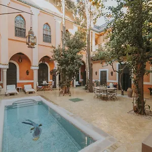 Le Perroquet Bleu & Marrakesh